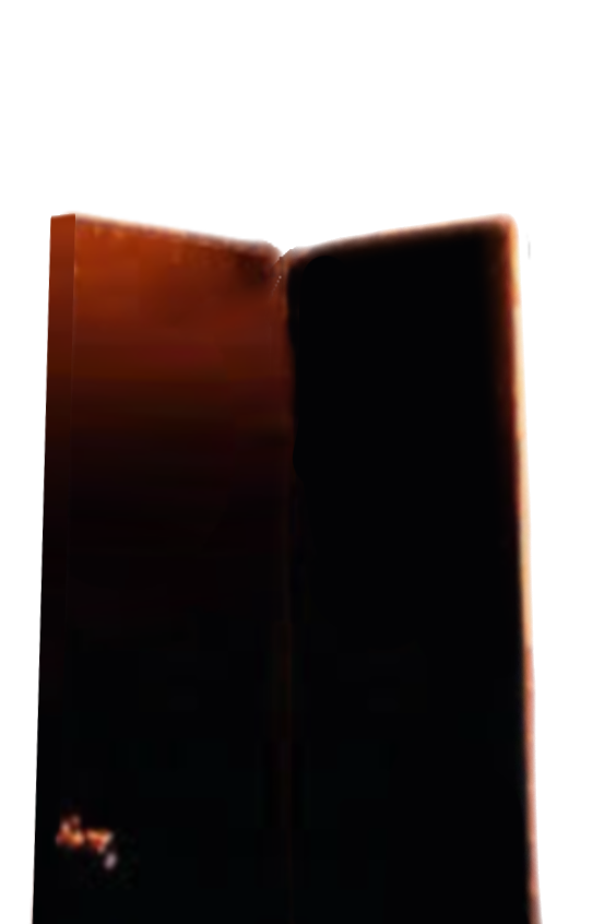 enter website